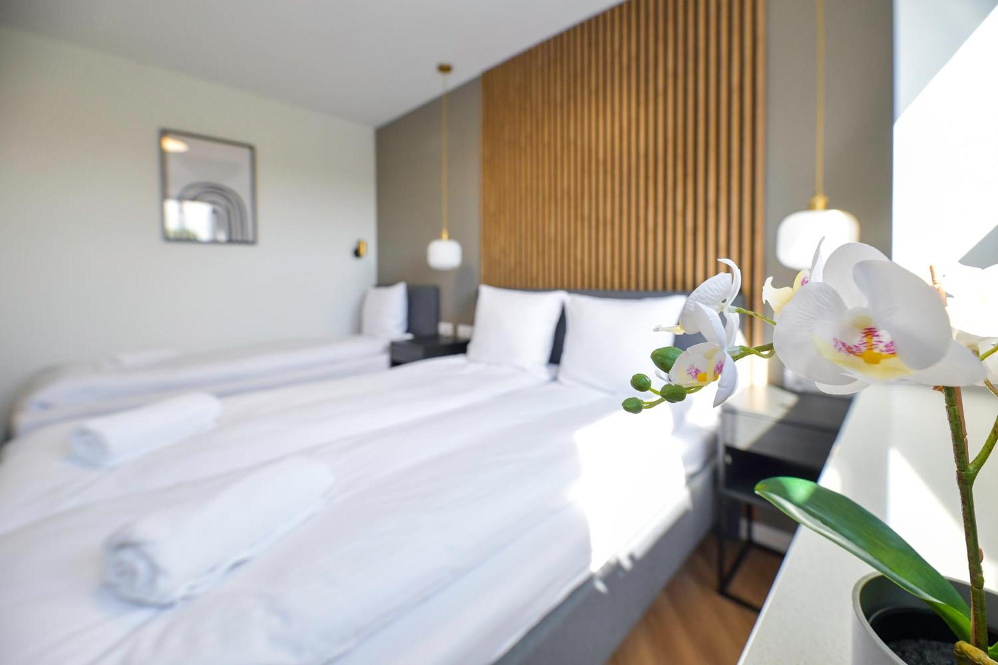 Magic Apartments - Aroma Zator Dış mekan fotoğraf