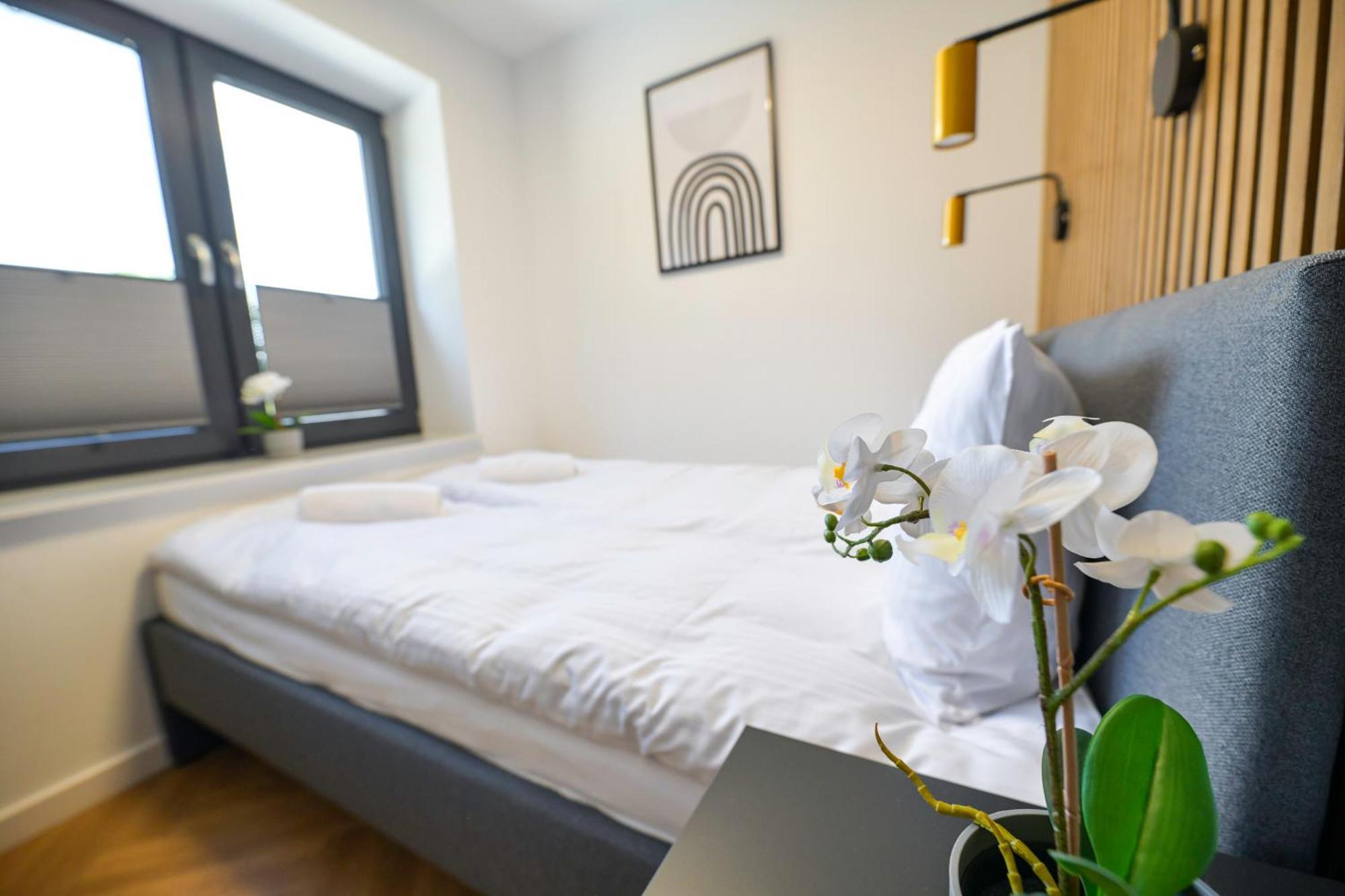 Magic Apartments - Aroma Zator Dış mekan fotoğraf